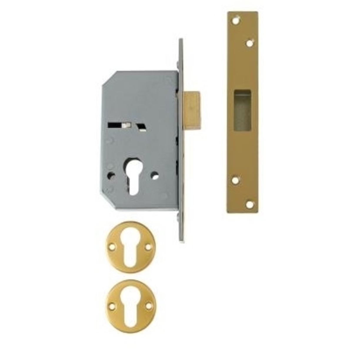 Euro Profile Cylinder Mortice Deadlock (case only)