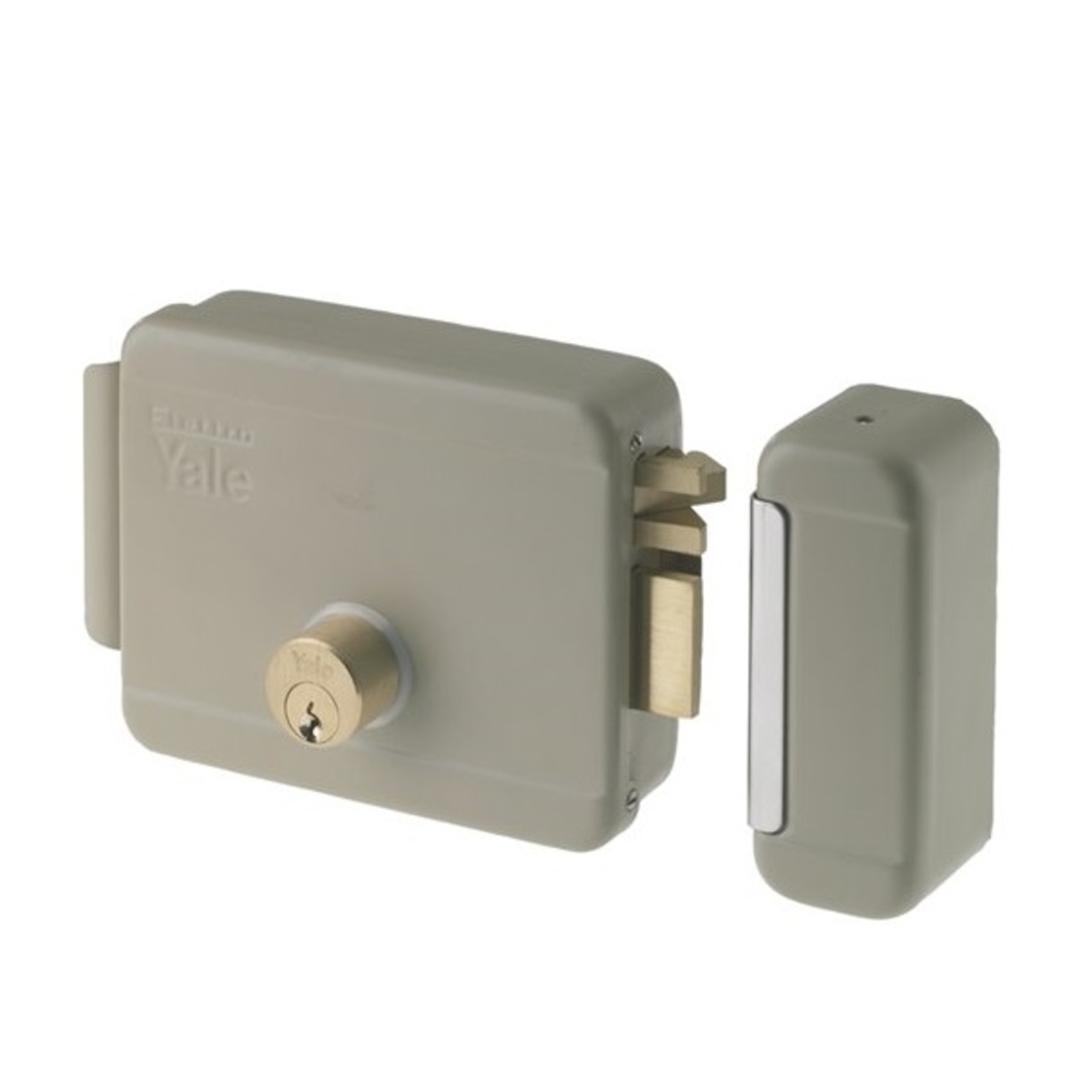 Electric Rim Locks for Gates