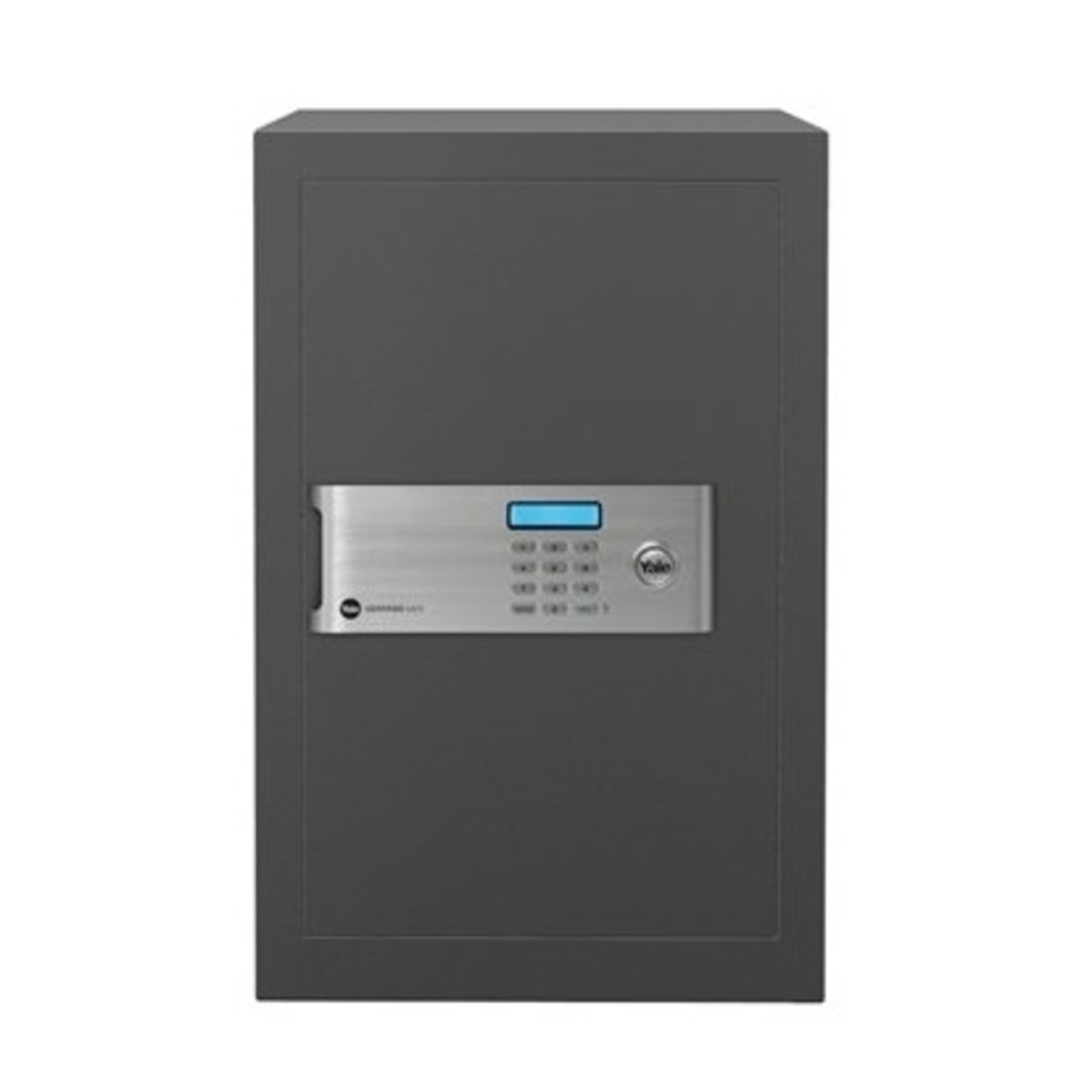 Professional Safe
